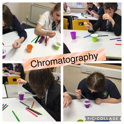 Image of Chromatography in Science 